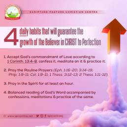 4 daily habits that will guarantee the growth of the Believer in copy